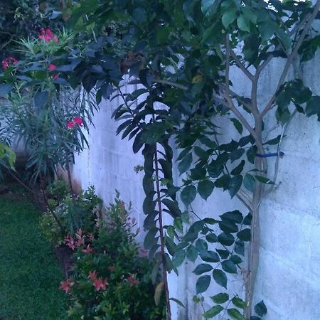 Umaya Holiday Home Anuradhapura Εξωτερικό φωτογραφία